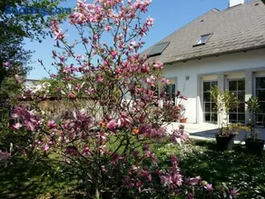 Ferienwohnung Heider - Image 1