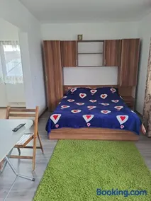 Vila Bulgaru - Image 2