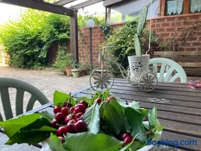 The Flowers' House - Image 2