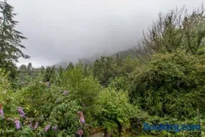 Selah Cottage, 21 Queen Street - Image 3