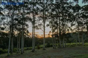 Blue Moon Forest Lodge - Image 2