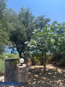 Olive & Sea Villa Koroni - Image 2