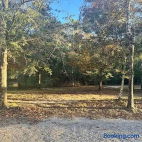 Palm Haven-Your Peaceful Studio Cabin near FL Springs - Image 4