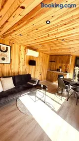 Cozy Tiny House bij het Leekstermeer - Image 4