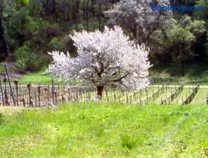 Siebenbrüderhof - Image 3