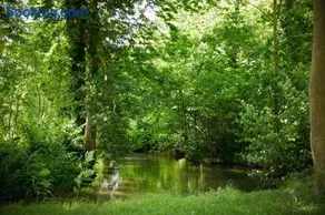 Étape de la Roulotte - Image 2