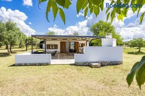 Holiday House Leo - Image 5