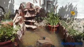 Luz de Carboneras - Image 5