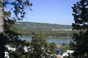Peaceful Danube View & Still Close to City - Image 2