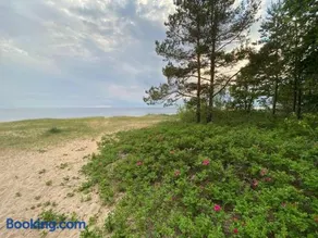 Sunlay Cottage - Image 4