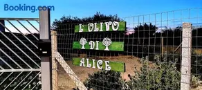 L'ulivo di Alice - Image 1