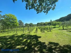 Vigna Visconti - Image 2