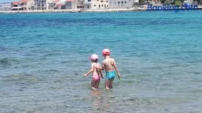 Palm Bibinje - Image 2