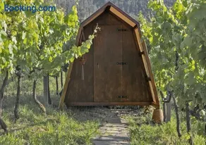 Cimo da Vinha - Nature Spot - Image 5