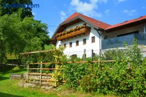 Ferienhof Pfaffenlehen - Image 3