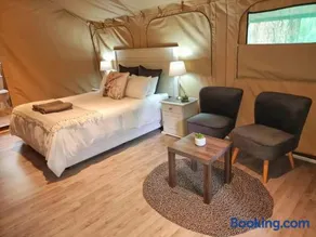 Harties Is Africa Safari Lodge - Image 3