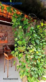 Ôxente que lugar arretado! - Image 2