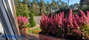 Dom Na Skarpie - Ucieczka Na Wieś - Samodzielne wejście na szyfr, 100m2 - Image 2