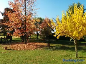 Holiday Home La Moranda - Image 2