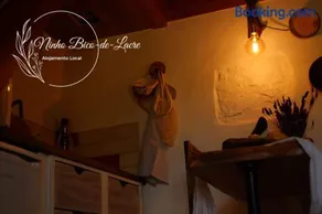 Ninho Bico-de-Lacre ~ o paraíso é a/na Terra - Image 2