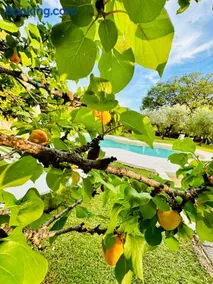 Agriturismo Podere Valdo - Image 3