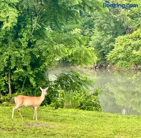 Almost Heaven At The River - Image 2