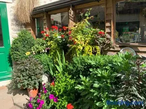 Courtyard Apartment - Image 1