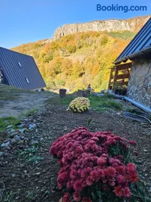 Charpatian Log Cabin Dragoslavele - Image 3