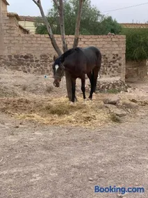Chez houssam - Image 1
