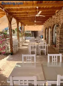 SunshineDiversClub - Sharks Bay - Image 3