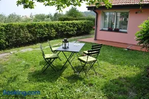 Ai Marucchi - Image 2
