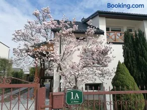 Magnolia - Image 1