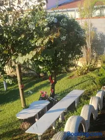 Sítio Bela Vista - Image 4