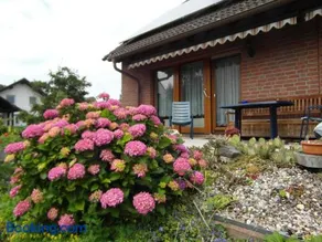 Ferienwohnung Borchert - Image 1