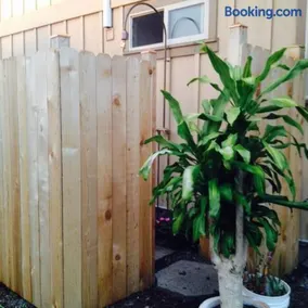 Garden Oasis at Banana Hale Studio - Image 1