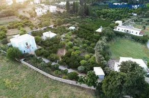 Phlea Farm Studios - Image 2
