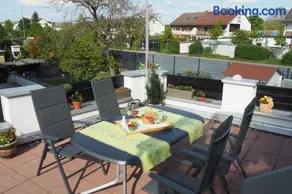 Hortensie Speyer - Image 2