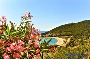 COLOMBA - Image 2