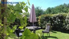 Les Roses Trémières - Image 2