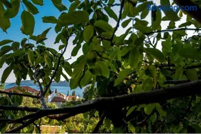 La Dorada Holiday Home - Image 3