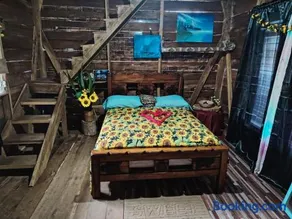 Turtle forest Cabine - Image 3