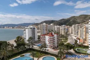 Florazar 2, Vi-11-C - Image 1