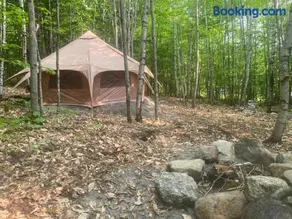 Forest Yurt - Image 1