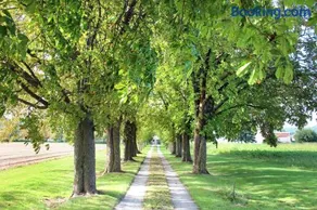 Domaine des Marronniers - Image 1