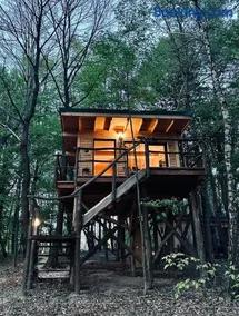 Living Forest Resort - Image 1