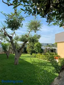 B&B MIRAGE - Image 2