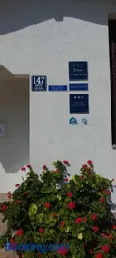Ana Marija - Image 2