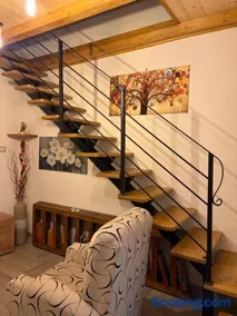 Rosa Life House - Image 5