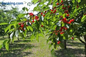 Alloggio Cantalupo - Image 3