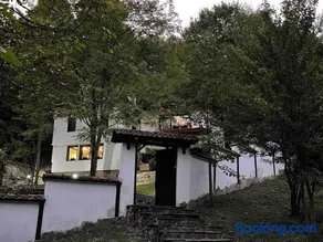 Forest Hill - Image 3